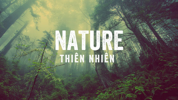 Thiên nhiên